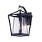 Maxim Lighting Artisan 1-Light 8" Wide Black Outdoor Wall Sconce 3174CLBK - alternate 1